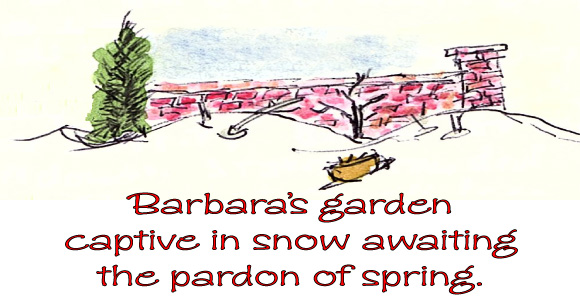 Haiku, Senryu, Tanka Poems