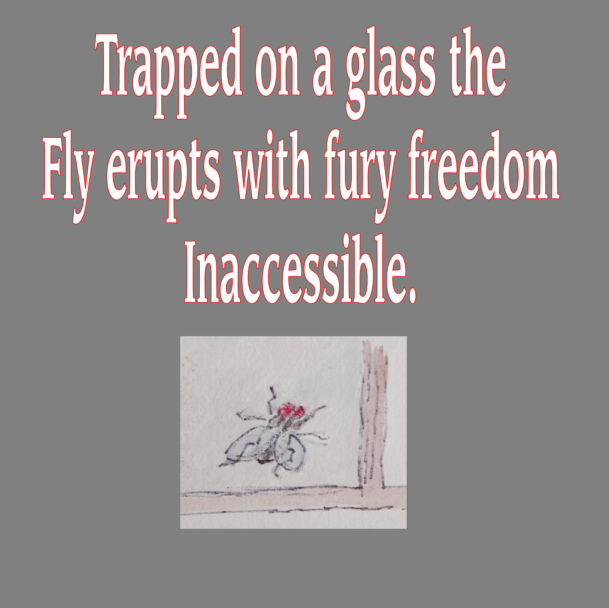 Freedom Inaccessible
